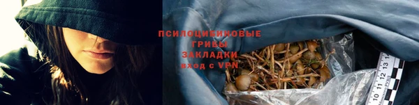 mdpv Кодинск