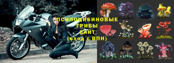 круглые Козельск