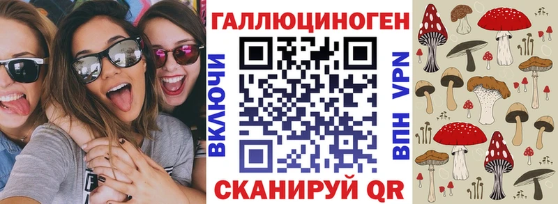 kraken ссылки  Медвежьегорск  Псилоцибиновые грибы MAGIC MUSHROOMS 